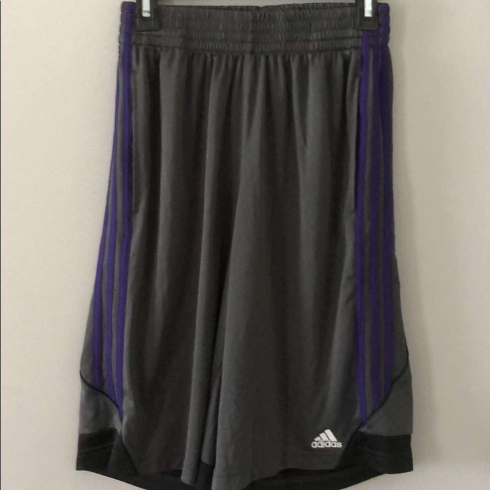 Adidas Climalite Shorts